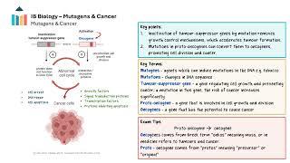 Cell Cycle - Mutagens & Cancer  video thumbnail