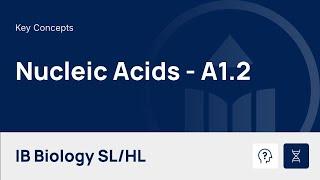 Nucleic Acids video thumbnail